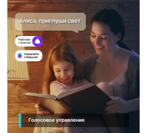 Умная Wi-Fi лампа/ Smart Wi-Fi Light Bulb, Daylight & Dimmable, SPEC: 2.4 GHz, IEEE 802.11b/g/n