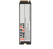 Твердотельный накопитель/ Твердотельное запоминающее устройство (SSD) FRM03Y01256M2P