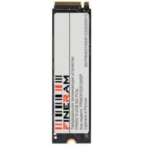 Твердотельный накопитель/ Твердотельное запоминающее устройство (SSD) FRM03Y01256M2P