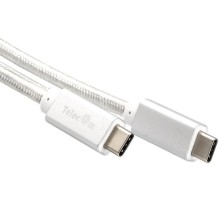 Кабель/ Кабель USB 3.1 Type Cm -- Cm  IC 5А 10Gbs длина 1M, Telecom <TC420S> серебряный