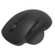 Аксессуары Philips Беспроводная Мышь SPK7624, 2,4 GHz, Bluetooth 3.0/5.0, 6 кноп., 800-1600dpi, Чёрный