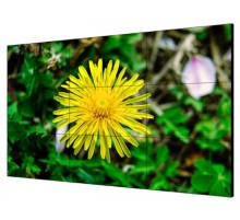 Тонкошовная ЖК панель 55", 1080P, 500 кд/м2, шов: 1.8 мм, входы: VGA/DVI/DP/HDMI, выходы: DP/HDMI, поддержка 4K/ Тонкошовная ЖК панель 55" Hikvision [DS-D2055LE-G]