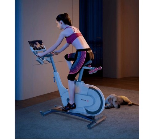 Велотренажер YESOUL Smart Spinning bike V1 белый