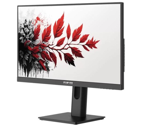 Монитор RDW2701K 1920x1080(FHD) IPS 100Hz 5мс 178°/178 300cd VGA HDMI DP 1*USB-B, 4*USB-A Рег. по высоте, Портретный режим, Поворот вокруг своей оси, Наклон, Внутренний БП, Динамики, черный, VESA100*100, МПТ