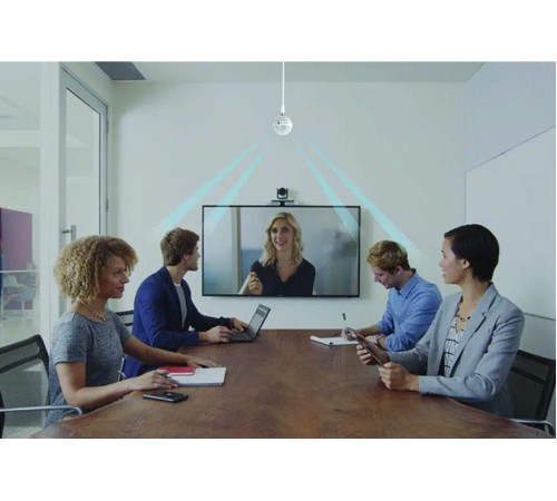Микрофон потолочный/ Ceiling Microphone array - White "Primary". Includes 2ft/60cm drop cable, electronics Interface, wall plate with 10ft/3m & 50ft/15m plenum cable. For RealPresence Group, HDX & SoundStructure. See Extension for additonal arra