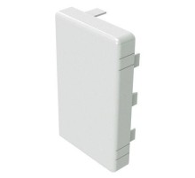 LAN 100x60 Заглушка