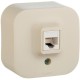 Quteo Розетка RJ45 кат.5е UTP, сл.кость
