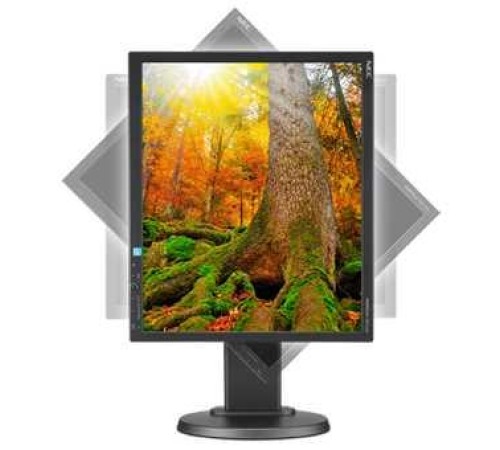 Монитор LCD 48,3 cm (19") 5:4 1280х1024(SXGA) IPS, 250cd/m2, 1000:1, 6ms, VGA, DVI, DP, Height adj, Pivot, Tilt, Swivel, Speakers, Swivel, 3Y, Black (Вскрытая упаковка)