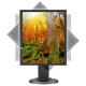 Монитор LCD 48,3 cm (19") 5:4 1280х1024(SXGA) IPS, 250cd/m2, 1000:1, 6ms, VGA, DVI, DP, Height adj, Pivot, Tilt, Swivel, Speakers, Swivel, 3Y, Black (Вскрытая упаковка)