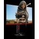 Монитор LCD 24.5'' 16:9 1920х1080(FHD) TN, 144 Hz, 400cd/m2, 1000:1, 50М:1, 1ms, VGA, 2xHDMI, DP, USB-Hub, Height adj, Pivot, Tilt, Swivel, Speakers, Black+Cherry (Из ремонта)