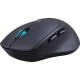 Беспроводная оптическая мышь Defender 52095 Effect X MS-095 черный,6D,800-1600dpi,бесшумн