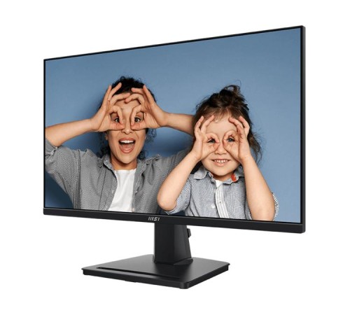 Монитор MSI PRO MP251P 24.5" 16:9 FHD(1920x1080) IPS Flat,1ms(MPRT),1300:1,100M:1,300nit,178/178,HDMI 1.4,VGA(D-Sub),Speaker,Tilt,Swivel,Height,Pivot,VESA,100Hz,Black,1y war-ty