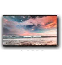 Профессиональный дисплей GoodView 55" AD display, 600cd/m2, 16/7, FHD