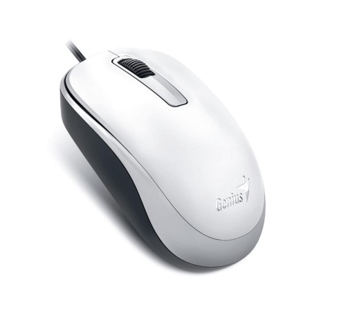 Мышь DX-125, USB, белая (white, optical 1000dpi, подходит под обе руки) (Мятая упаковка) Мышь DX-125, USB, белая (white, optical 1000dpi, подходит под обе руки) (Мятая упаковка)