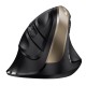 Мышь беспроводная Ergo 8250S черная (Champagne +Black), вертикальная эргономичная бесшумная мышь с подставкой для большого пальца