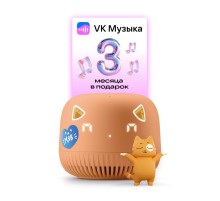 Колонка VK Капсула Нео (оранжевый)/ VK Капсула Нео (оранжевый)