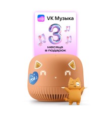 Колонка VK Капсула Нео (оранжевый)/ VK Капсула Нео (оранжевый)