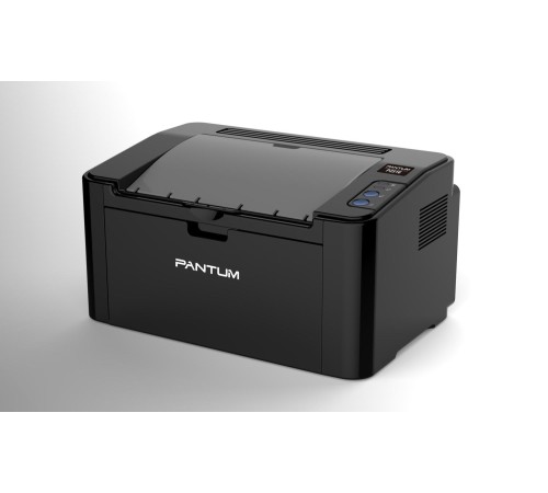 Принтер лазерный/ Pantum P2516