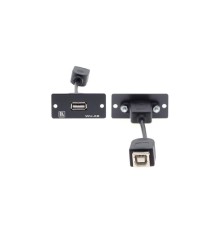 Модуль-переходник USB розетка А-розетка В; цвет черный [85-0118399]