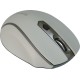 Defender Беспроводная оптическая мышь Safari MM-675 бежевый,6кнопок,800-1600dpi USB