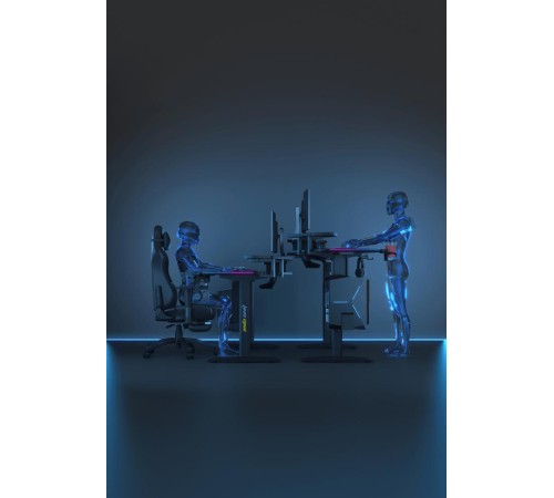 Стол игровой Andaseat Shadow warrior (модель AD-D-DD1-1600L) (Некомплект)