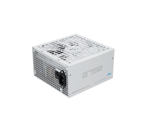 Блоки питания/ Power Supply SAMA G750 White (HAT-750yzB1G), 750W 80+ Gold (ATX, 3.1, PCIe 5.0, Full modular, 1x24(20+4)pin mesh 550mm, 2xCPU 8(4+4)pin 600mm+150mm, 2xPCIe*2 8(6+2)pin 550+150mm, 1x12VHPWR PCIe 5.1 12+4pin 600W 600mm, 3xSATA*3 450+150+150mm