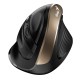 Мышь беспроводная Ergo 8250S черная (Champagne +Black), вертикальная эргономичная бесшумная мышь с подставкой для большого пальца