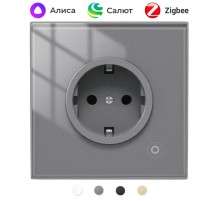 Розетка Moes Zigbee Smart Wall Socket серый модели ZK-EU