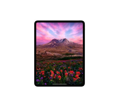 Планшет Apple/ 11-inch (M4) iPad Pro Wi-Fi 256GB - Space Black Планшет Apple/ 11-inch (M4) iPad Pro Wi-Fi 256GB - Space Black