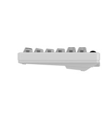 Клавиатура механическая беспроводная Dareu A84 Pro White (белый), 84 клавиши, switch BlueSky V3 (linear), подсветка RGB, подключение проводное+Bluetooth+2.4GHz, аккумулятор 2000mAh (Мятая упаковка)