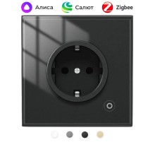 Розетка Moes Zigbee Smart Wall Socket черный модели ZK-EU