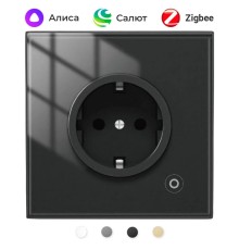 Розетка Moes Zigbee Smart Wall Socket черный модели ZK-EU