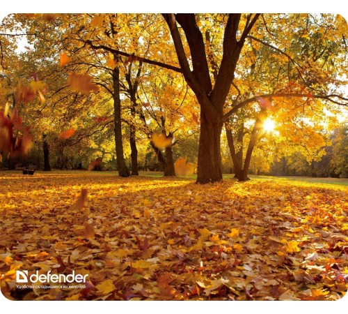 Defender Коврик для компьютерной мыши Silk Pad Nature 230x190x1.6 мм, 10 видов