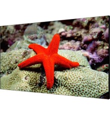 Тонкошовная ЖК панель 46", 1080P, 500 кд/м2, шов: 3.5 мм, входы: VGA/DVI/DP/HDMI, выходы: DP/HDMI, поддержка 4K/ Тонкошовная ЖК панель 46" Hikvision [DS-D2046LU-Y]