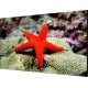 Тонкошовная ЖК панель 46", 1080P, 500 кд/м2, шов: 3.5 мм, входы: VGA/DVI/DP/HDMI, выходы: DP/HDMI, поддержка 4K/ Тонкошовная ЖК панель 46" Hikvision [DS-D2046LU-Y]