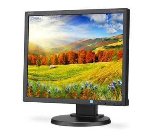 Монитор LCD 48,3 cm (19") 5:4 1280х1024(SXGA) IPS, 250cd/m2, 1000:1, 6ms, VGA, DVI, DP, Height adj, Pivot, Tilt, Swivel, Speakers, Swivel, 3Y, Black (Вскрытая упаковка)
