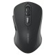 Мышь беспроводная Dareu LM115B Black (черный), DPI 800/1200/1600, подключение: ресивер 2.4GHz + Bluetooth, размер 107x59x38мм