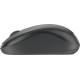Комплект (клавиатура + мышь)/ Logitech Wireless MK295 Silent Combo GRAPHITE Retail