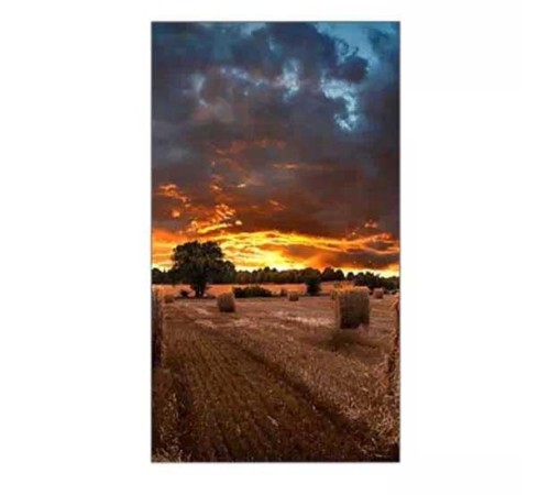 Дисплей Samsung VM55B-U