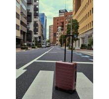 Чемодан NINETYGO Manhattan Frame Luggage  24" красный