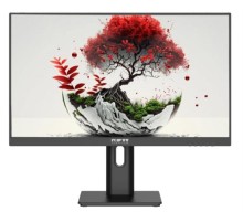 Монитор RDW2401K 1920x1080(FHD) IPS 100Hz 5мс 178°/178 250cd 1000:1 VGA HDMI DP 1*USB-B, 4*USB-A Рег. по высоте, Портретный режим, Поворот вокруг своей оси Наклон, внешний БП, Динамики, VVESA 100*100, МПТ