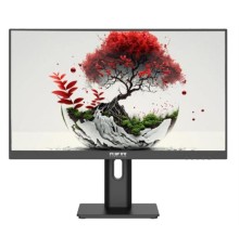 Монитор RDW2401K 1920x1080(FHD) IPS 100Hz 5мс 178°/178 250cd 1000:1 VGA HDMI DP 1*USB-B, 4*USB-A Рег. по высоте, Портретный режим, Поворот вокруг своей оси Наклон, внешний БП, Динамики, VVESA 100*100, МПТ