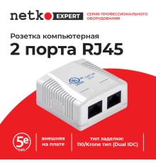 Розетка компьютерная Netko JE342RCE-USD/WH (54400)