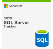 ПО Microsoft SQL Server Standard Edition 2019 English DVD 10 Client (228-11548) (id 8233)