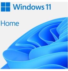 ПО Microsoft Windows Home FPP 11 64-bit English International USB (HAJ-00090) (id 8241)