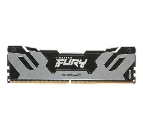 Оперативная память Kingston Fury Renegade Silver KF560C32RS-48