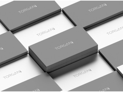 Запуск B2B-платформы TORGANI для бизнеса
