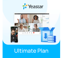 Лицензия Yeastar PSE Ultimate Plan 4SC (годовая)