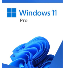 ПО Microsoft Windows Professional FPP 11 64-bit English International USB (HAV-00163) (id 8242)