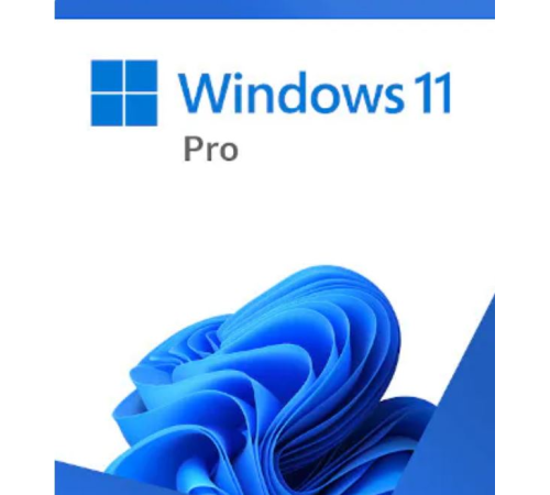 ПО Microsoft Windows Professional FPP 11 64-bit English International USB (HAV-00163) (id 8242)